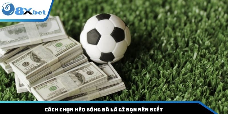 Cách chọn kèo bóng đá là gì bạn nên biết