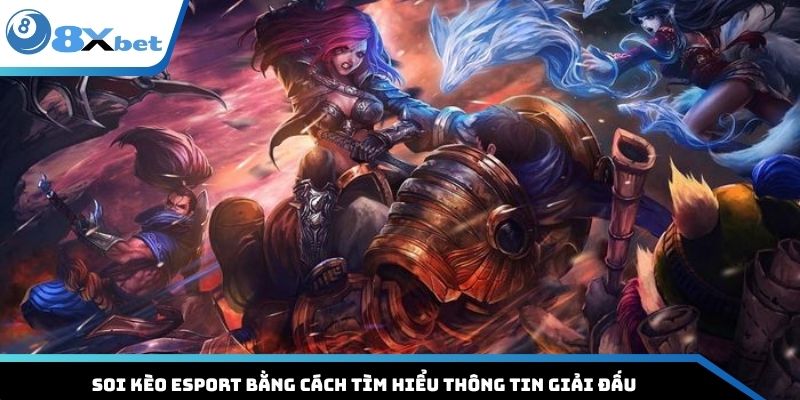 Soi kèo Esport bằng cách tìm hiểu thông tin giải đấu