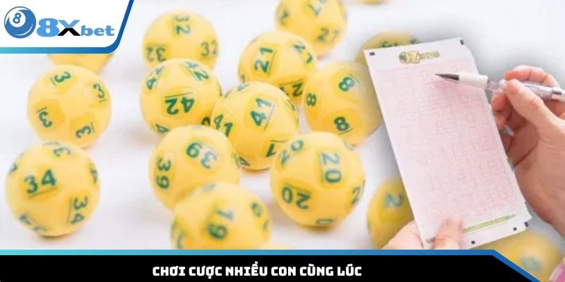 Chơi cược nhiều con cùng lúc