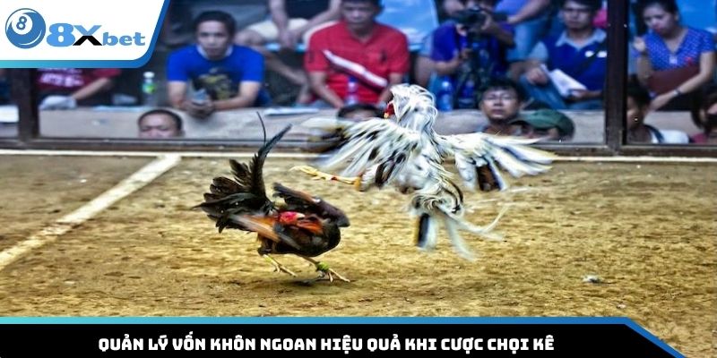 Quản lý vốn khôn ngoan hiệu quả khi cược chọi kê
